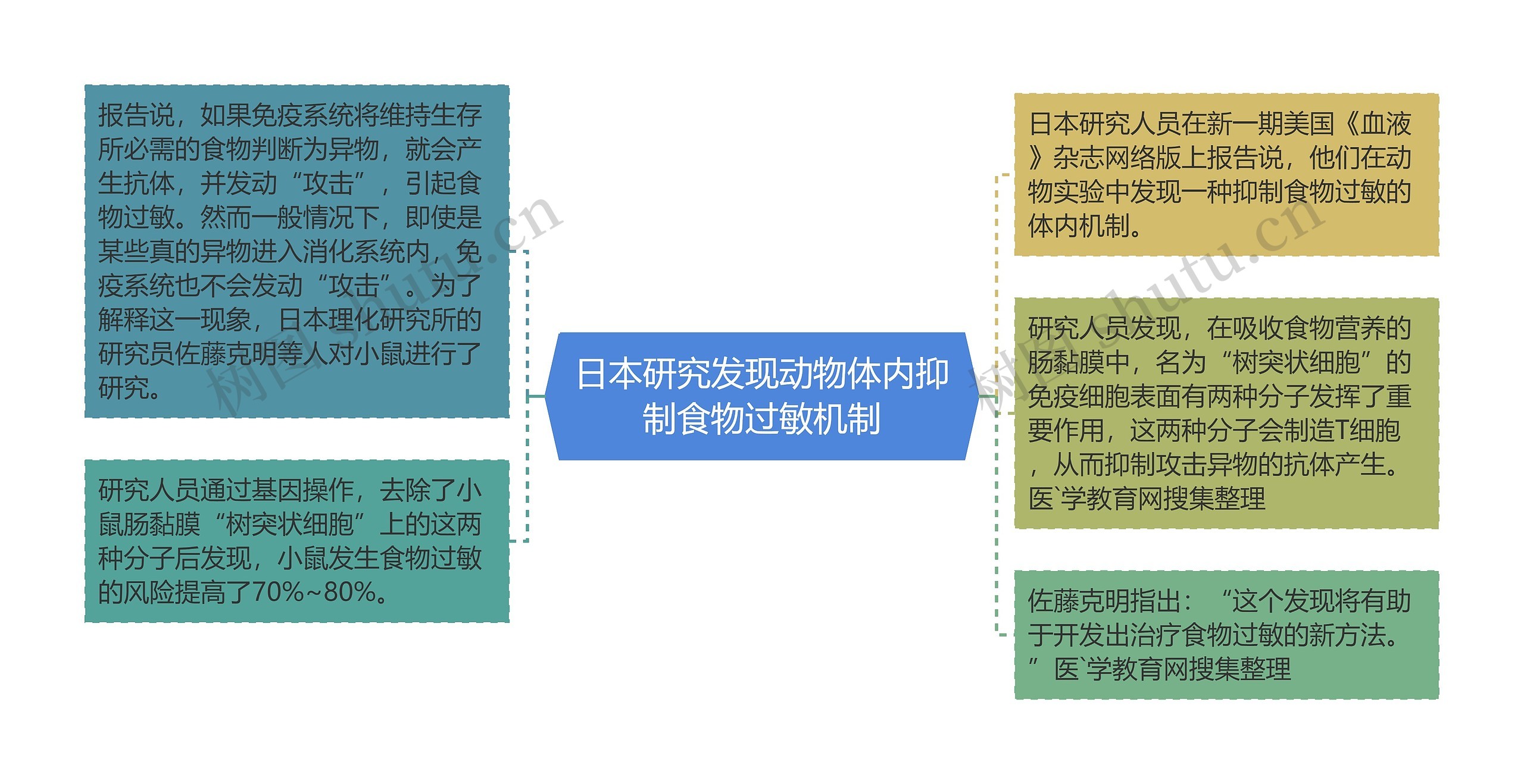 日本研究发现动物体内抑制食物过敏机制