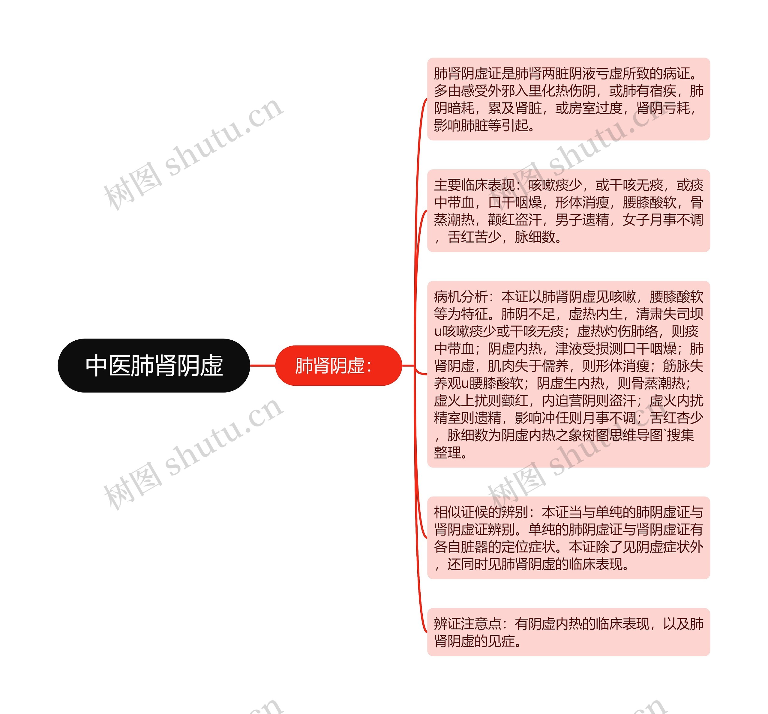 中医肺肾阴虚思维导图