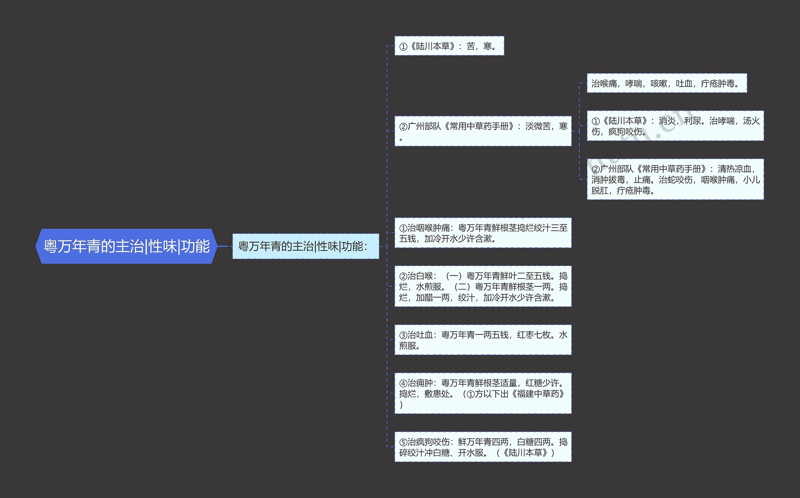 粤万年青的主治|性味|功能