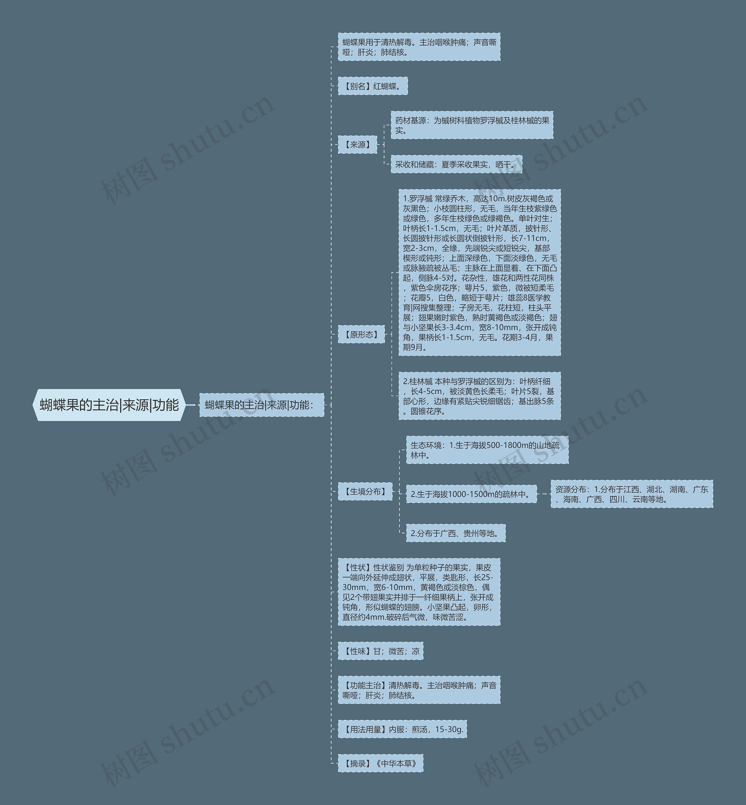 蝴蝶果的主治|来源|功能思维导图
