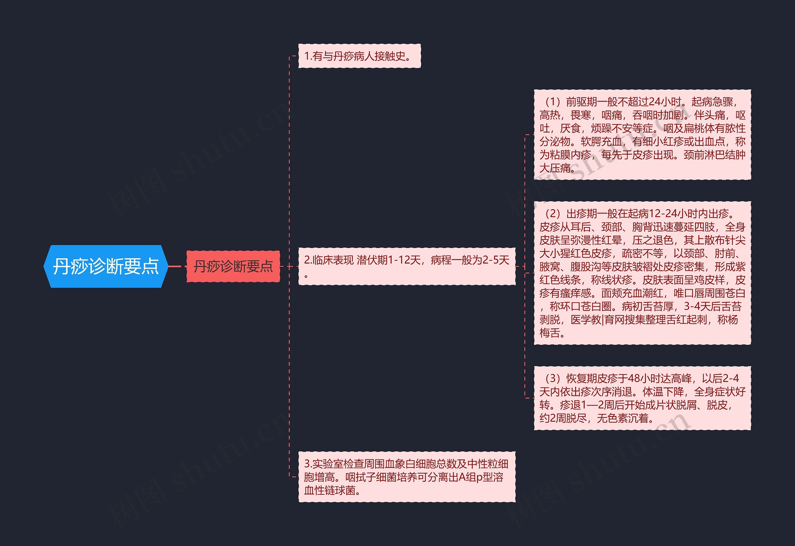 丹痧诊断要点思维导图