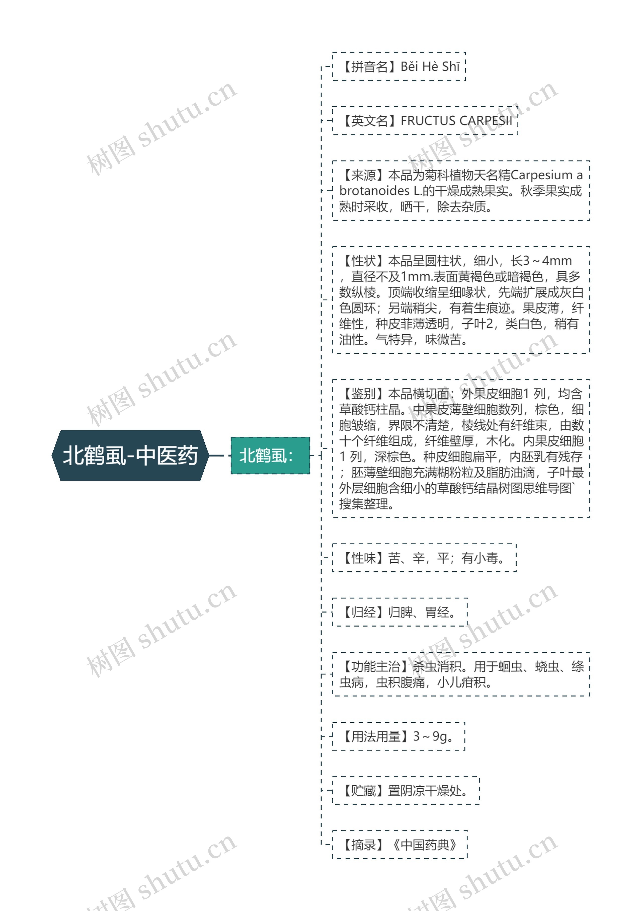 北鹤虱-中医药思维导图