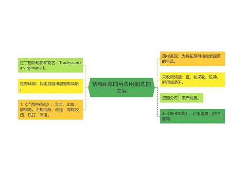 紫鸭跖草的用法用量|功能主治