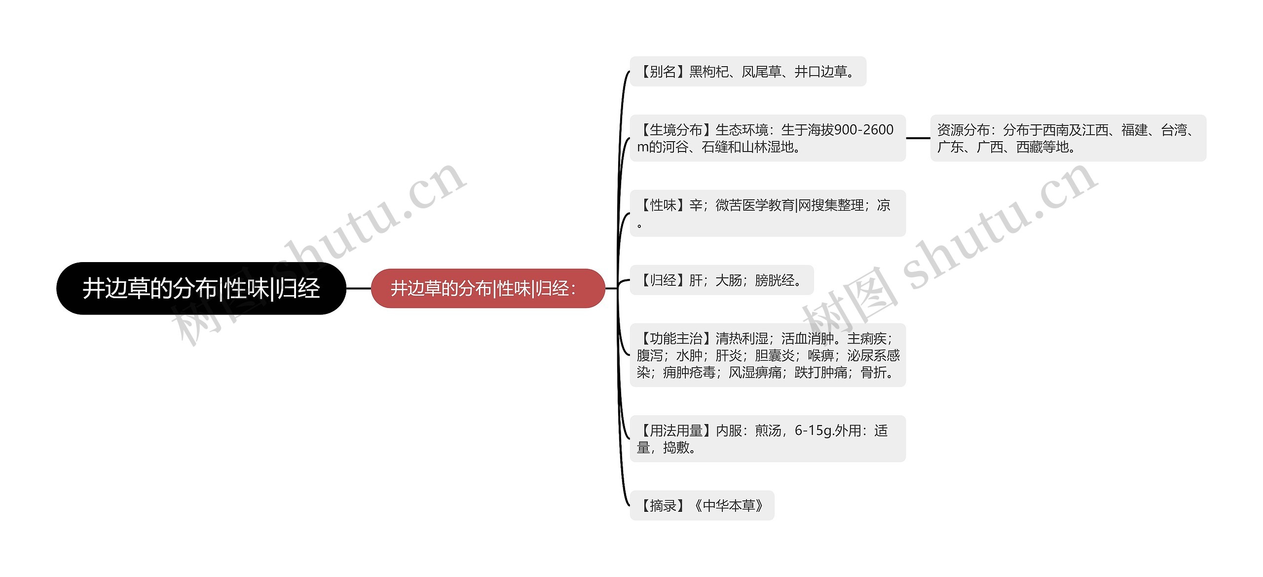 井边草的分布|性味|归经思维导图