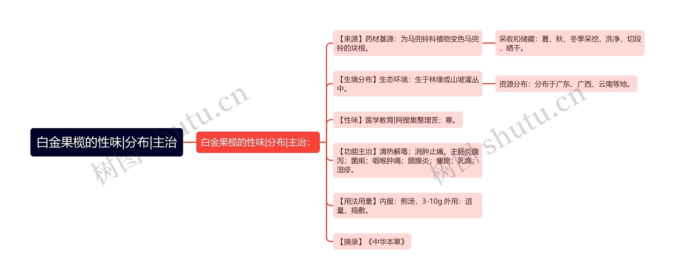 白金果榄的性味|分布|主治思维导图