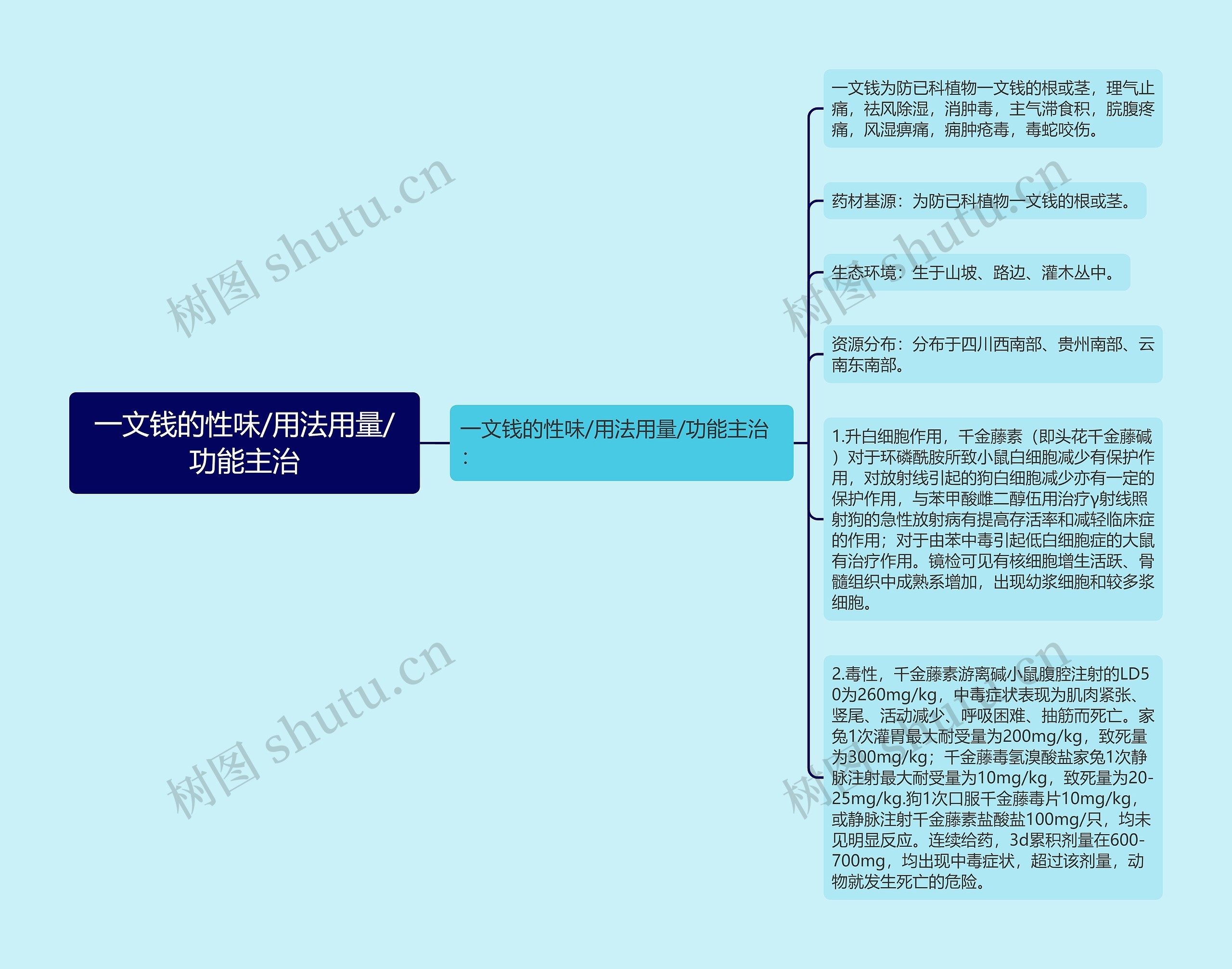 一文钱的性味/用法用量/功能主治思维导图