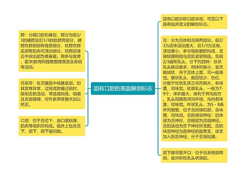 固有口腔的表面解剖标志