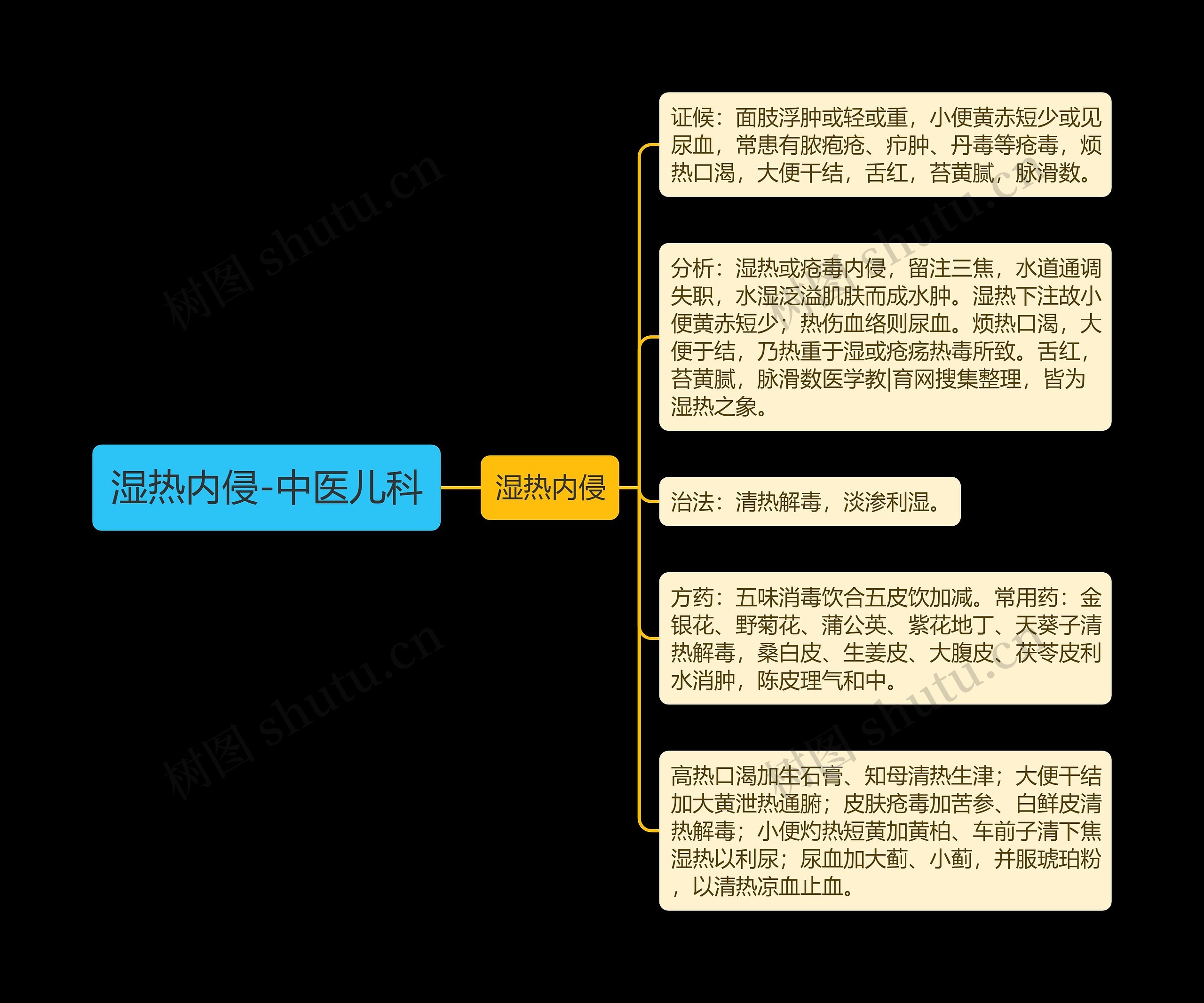 湿热内侵-中医儿科思维导图