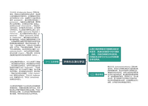 牙体形态演化学说