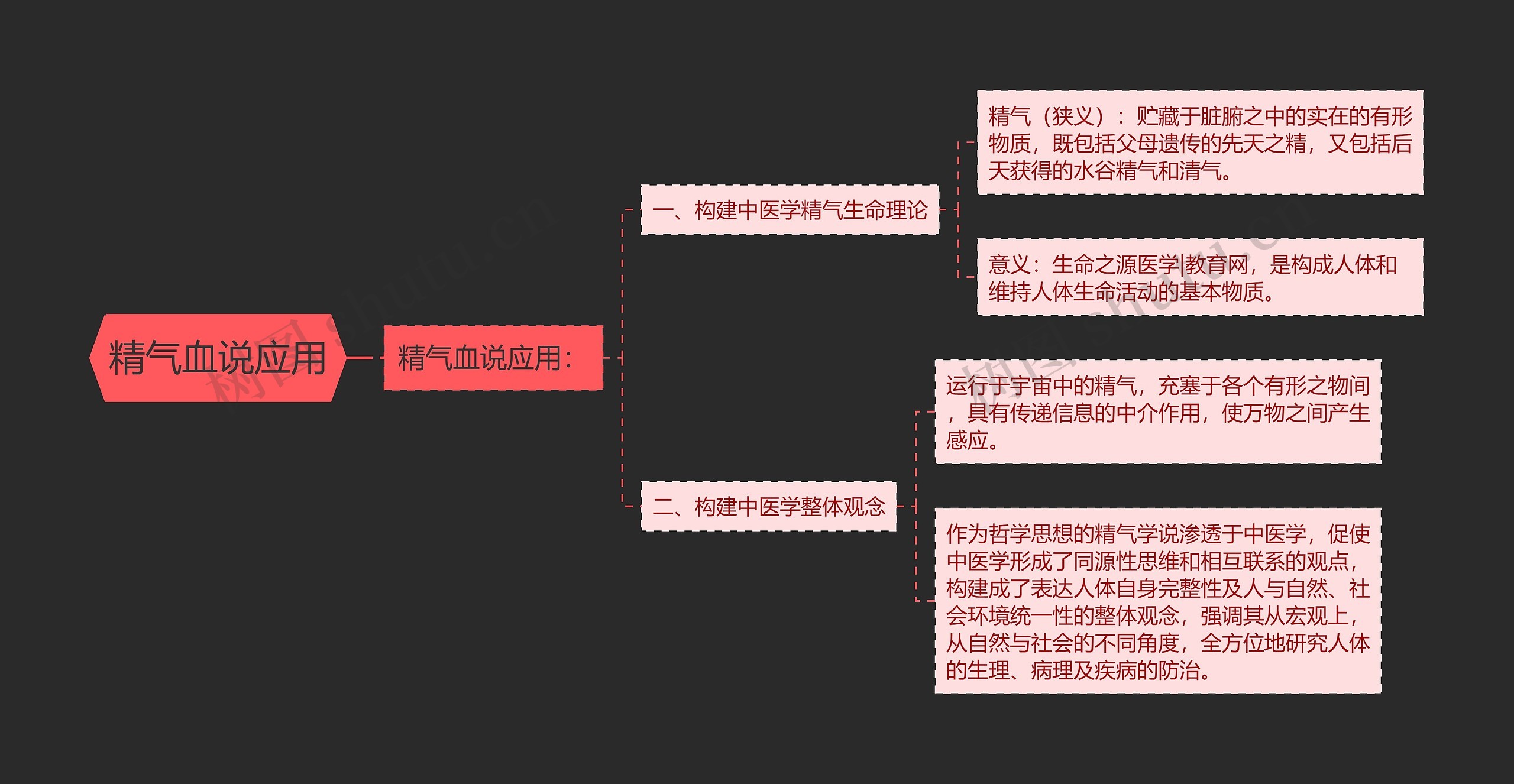 精气血说应用