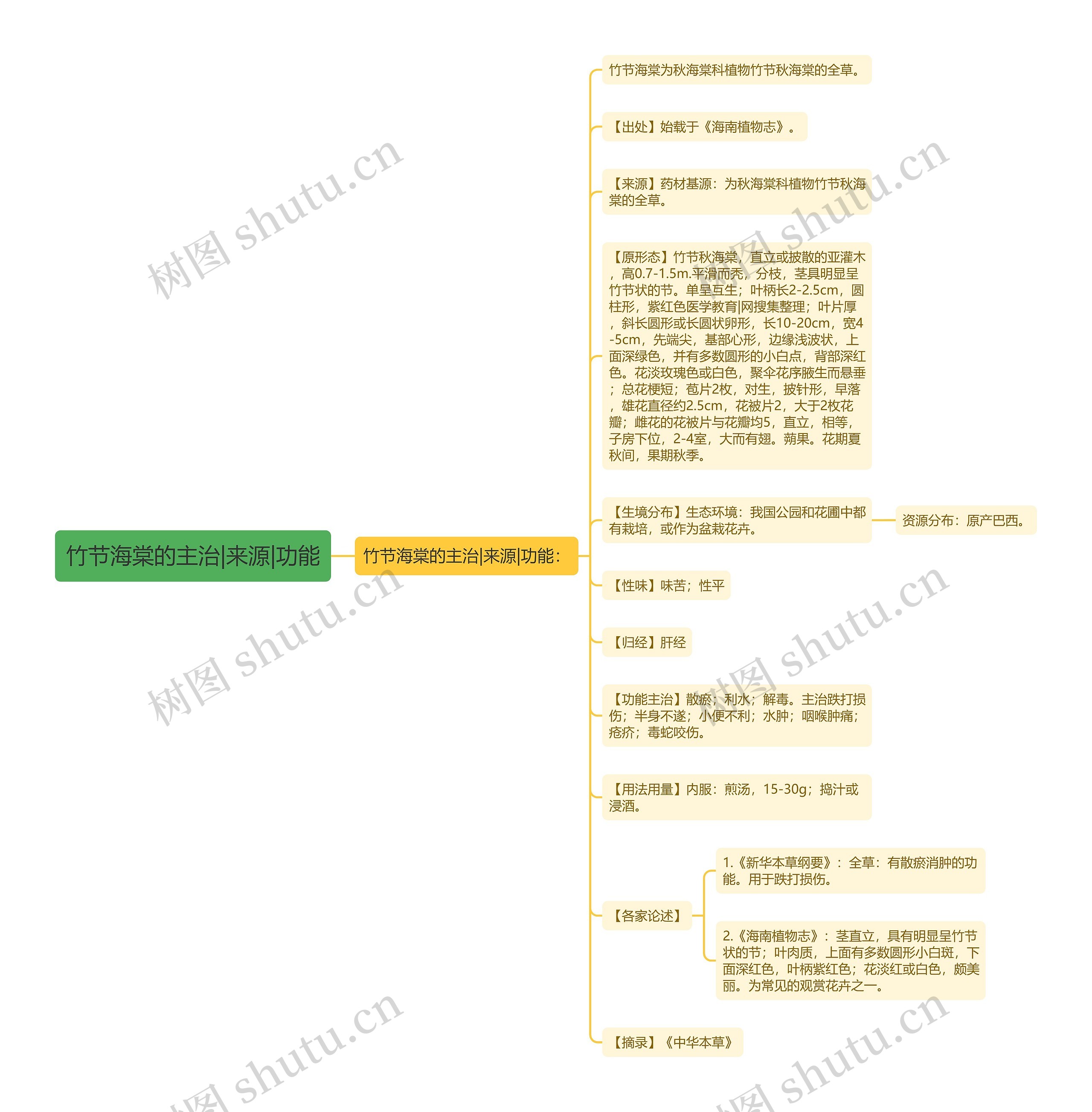 竹节海棠的主治|来源|功能思维导图
