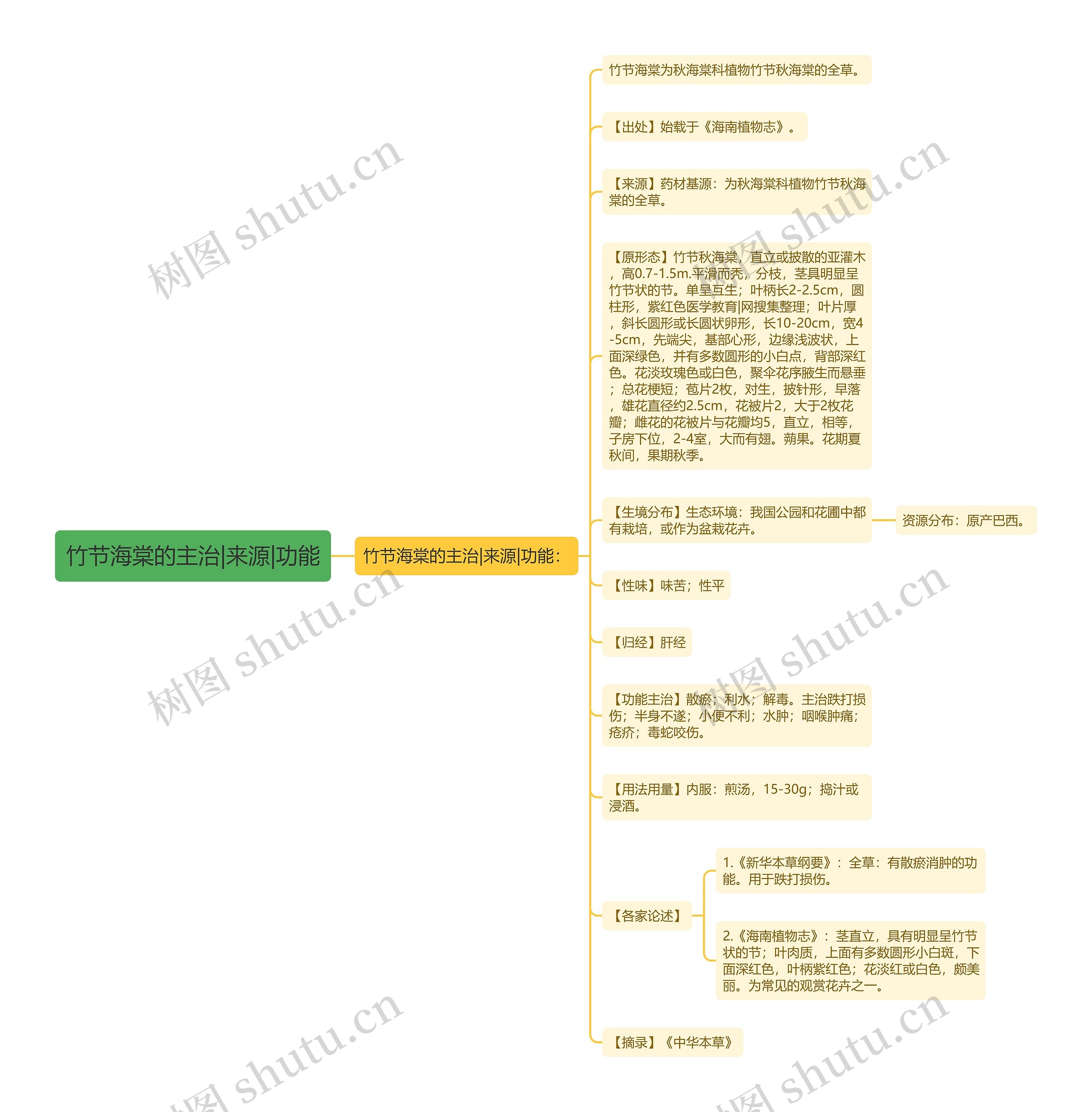 竹节海棠的主治|来源|功能 竹节海棠的主治|来源|功能