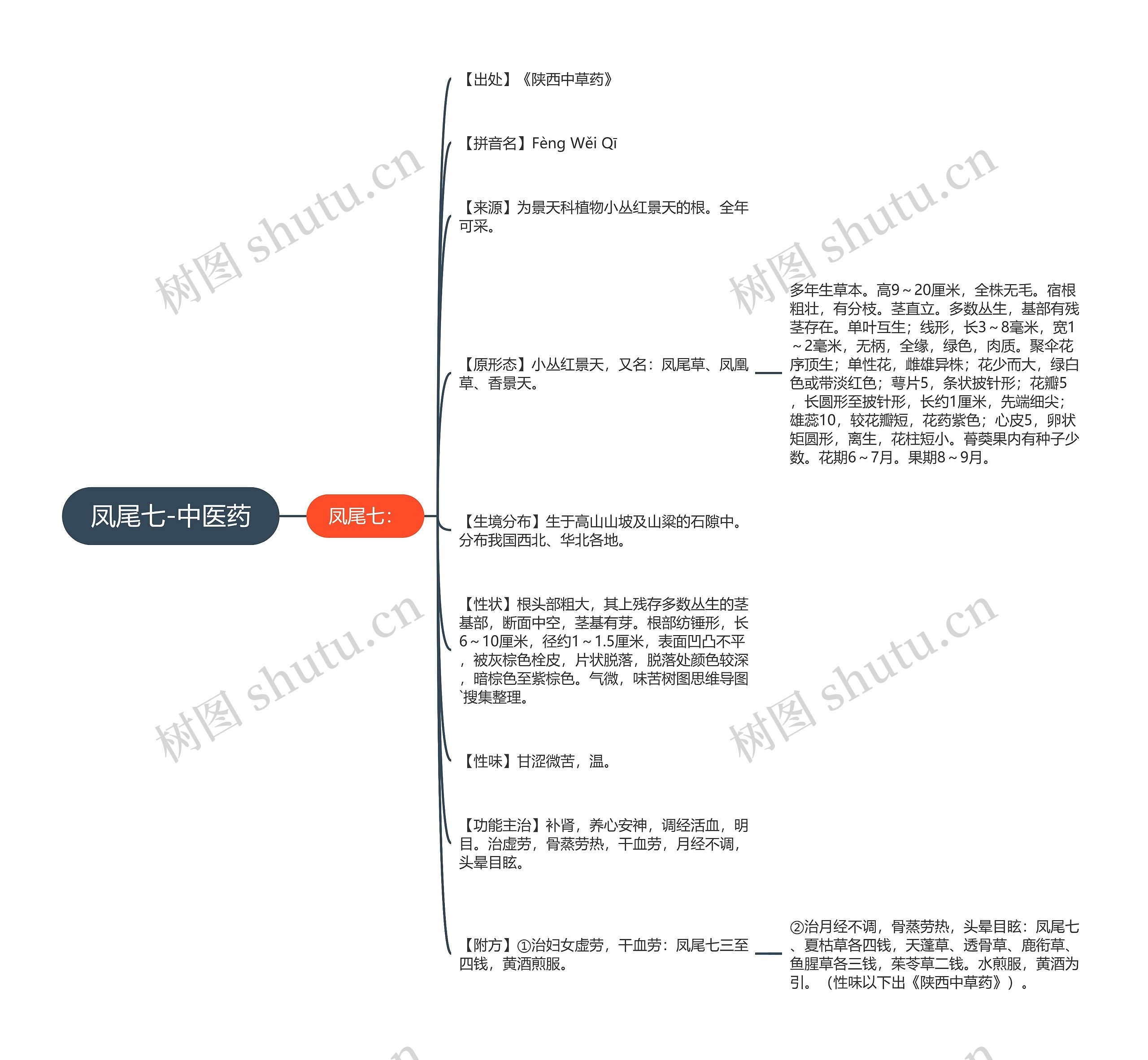凤尾七-中医药思维导图