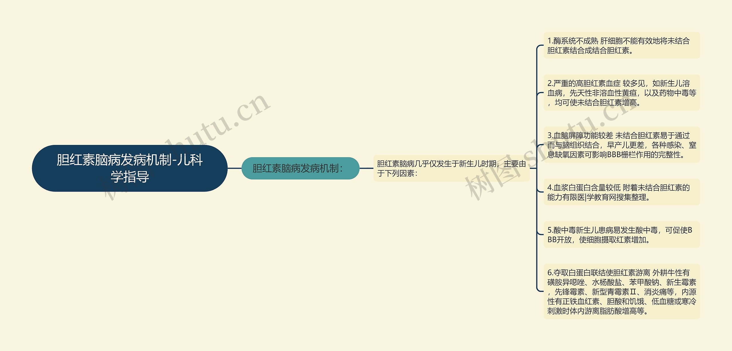 胆红素脑病发病机制-儿科学指导思维导图