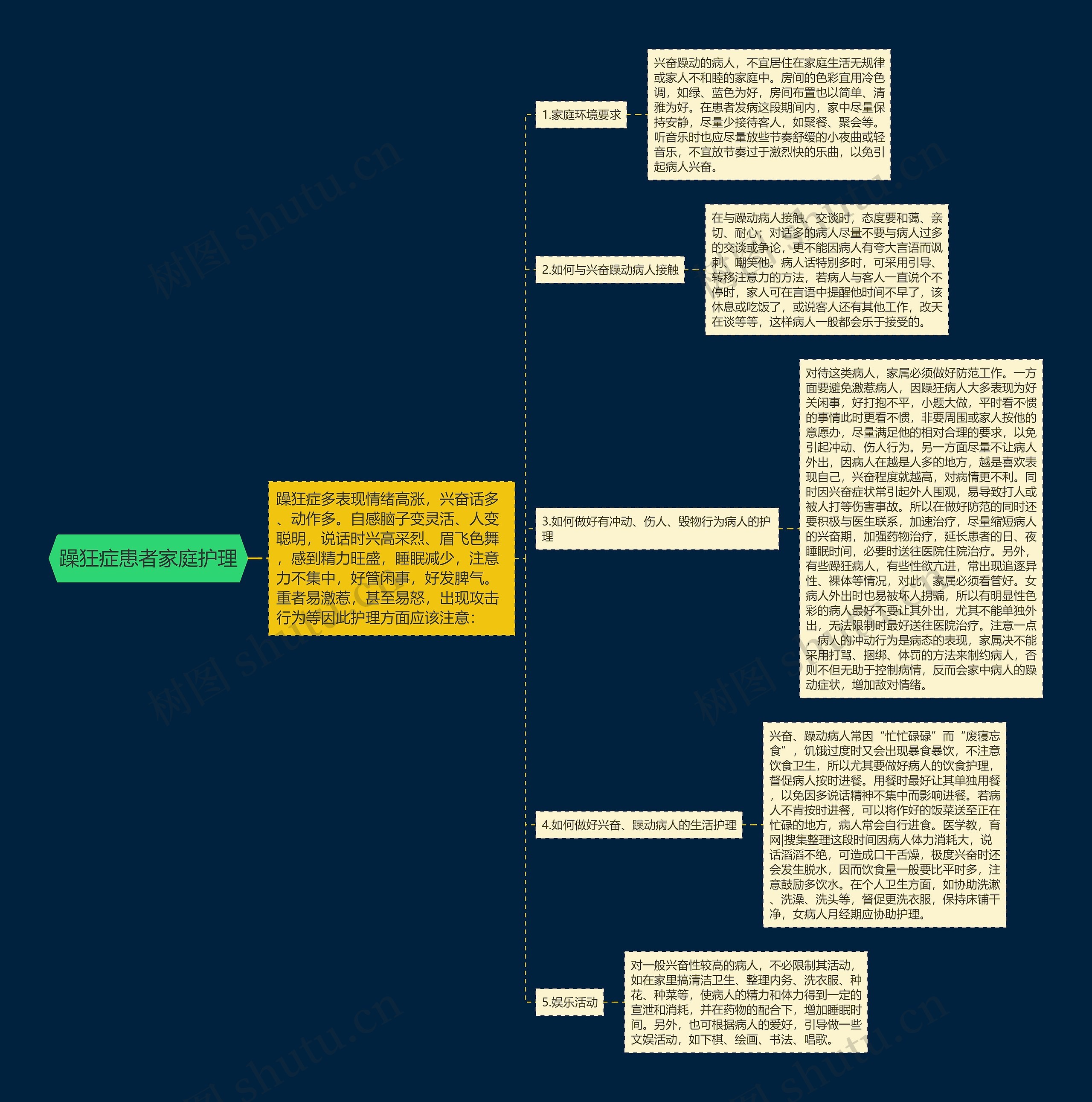 躁狂症患者家庭护理思维导图