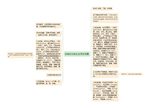 蛇鲻的功能主治|用法用量