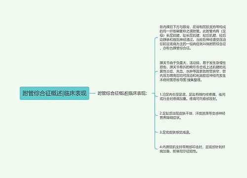 跗管综合征概述|临床表现