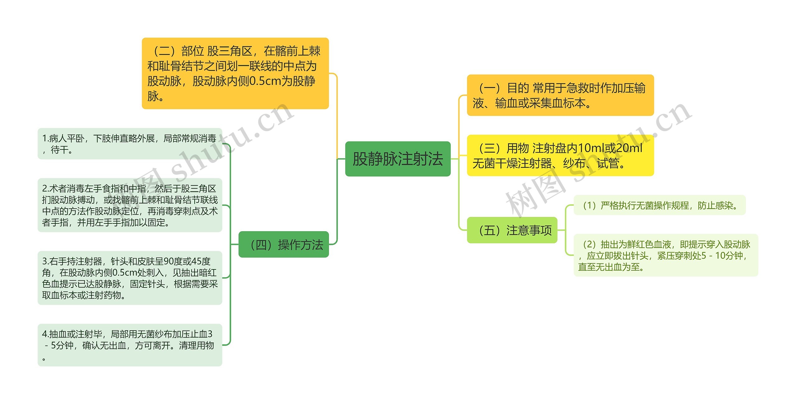 股静脉注射法思维导图