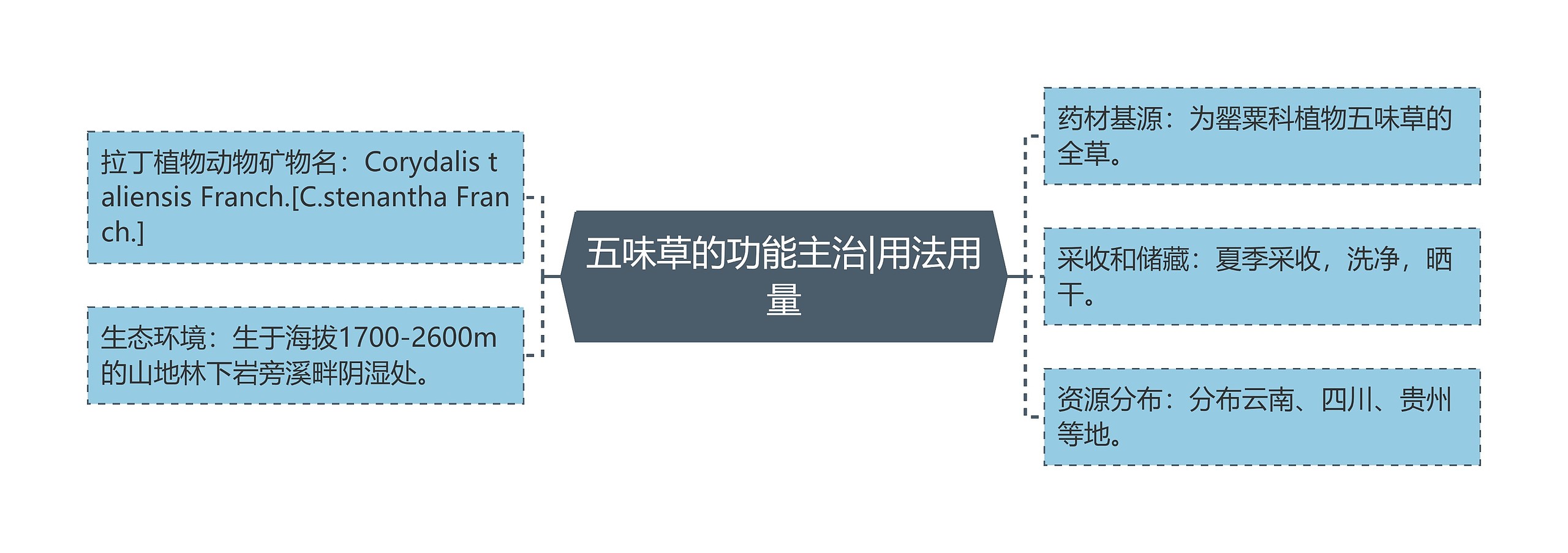 五味草的功能主治|用法用量 五味草的功能主治|用法用量
