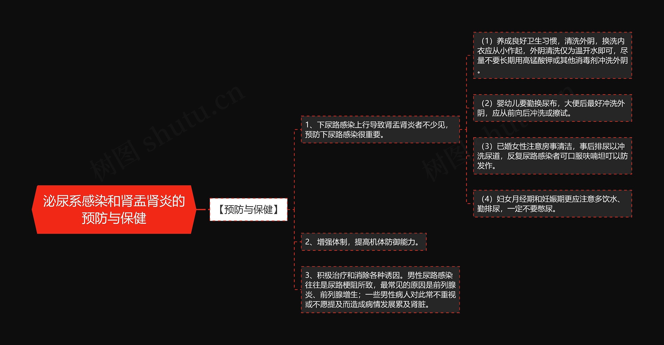 泌尿系感染和肾盂肾炎的预防与保健思维导图