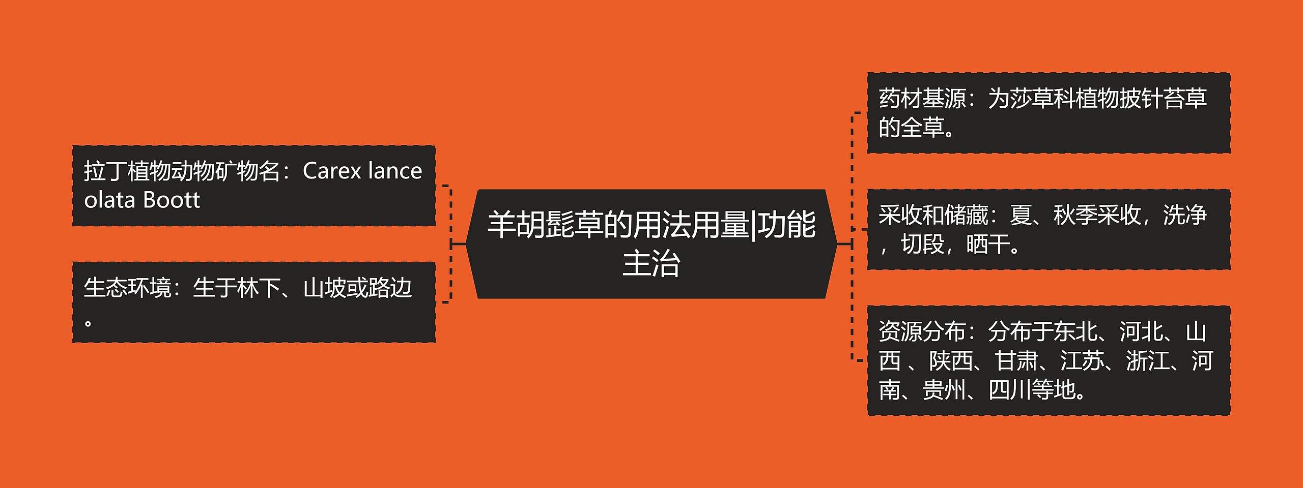 羊胡髭草的用法用量|功能主治