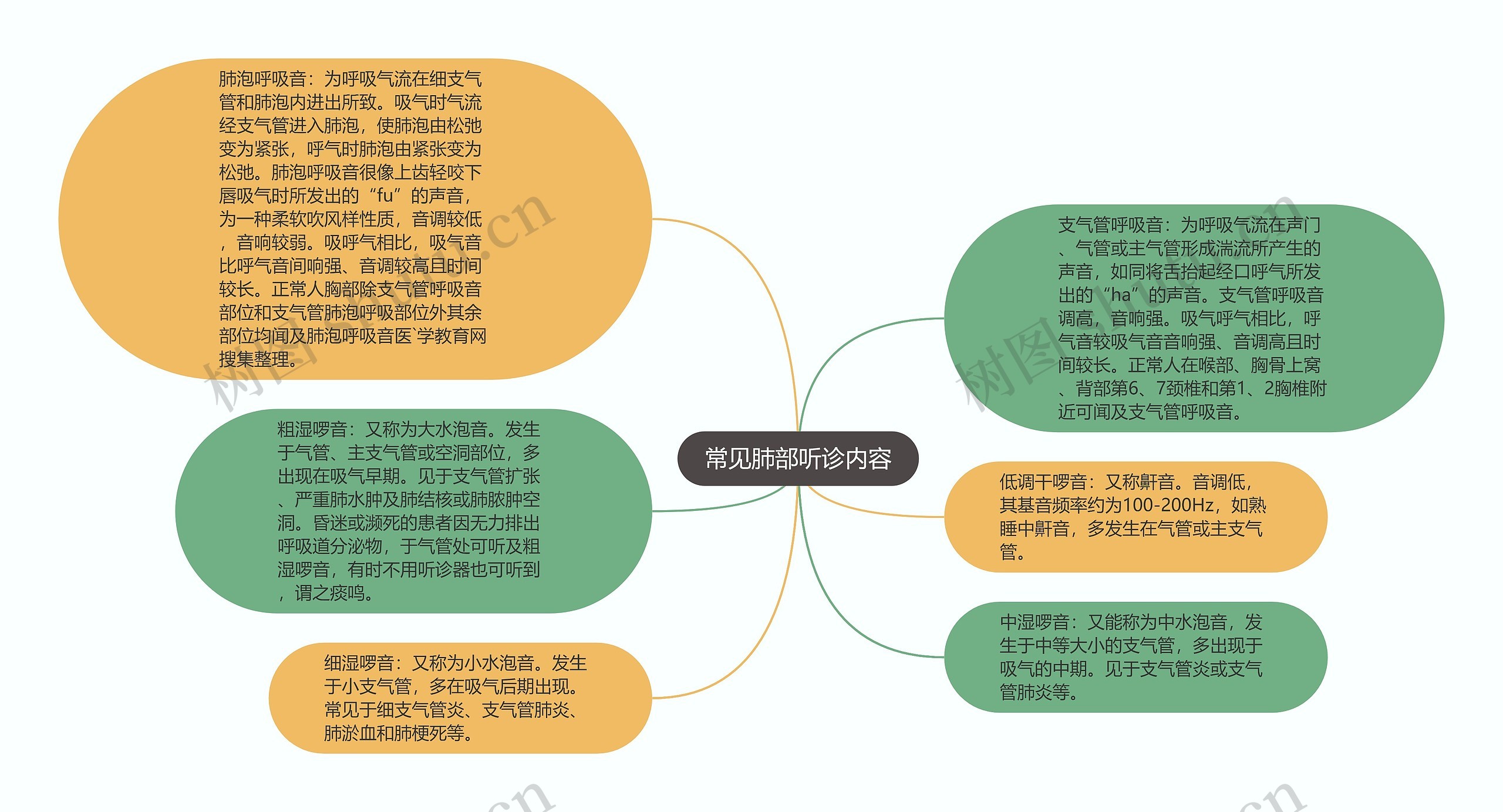 常见肺部听诊内容思维导图