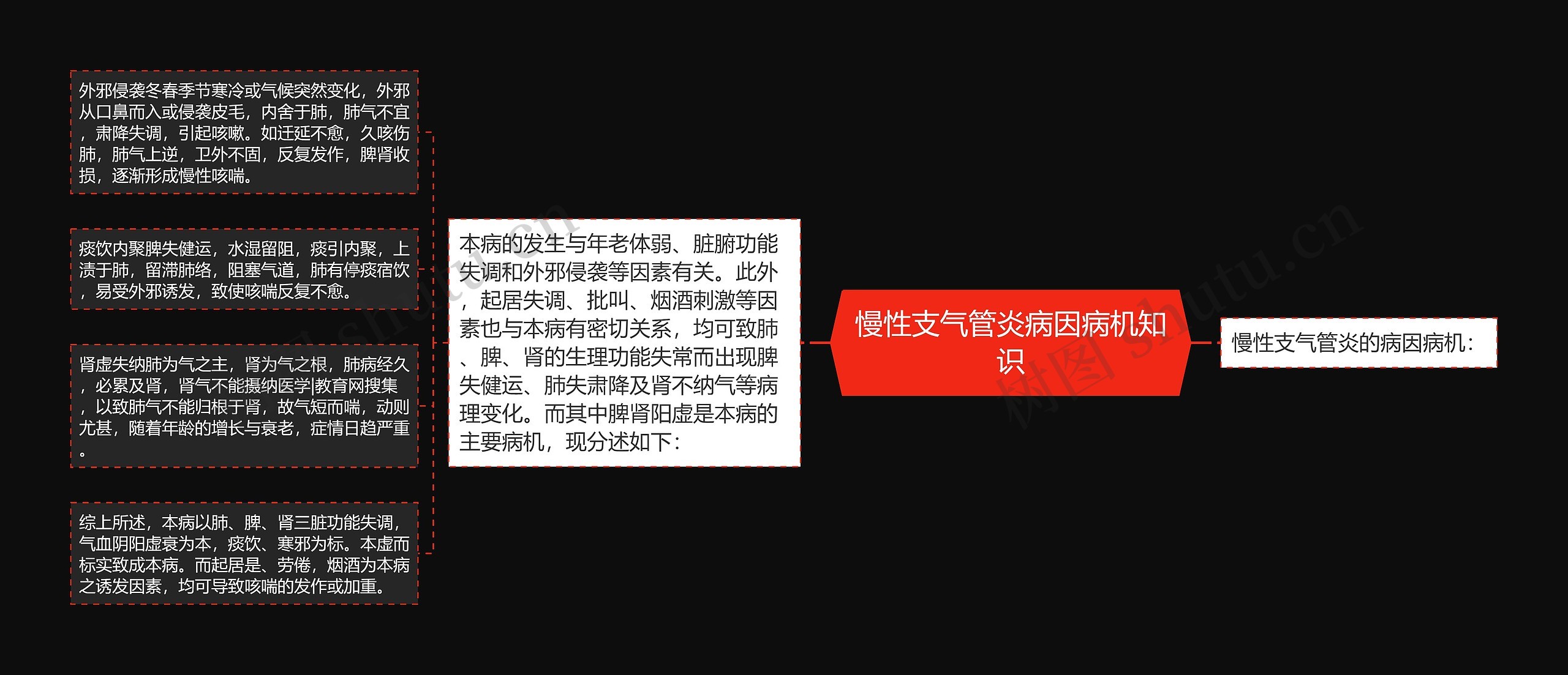 慢性支气管炎病因病机知识