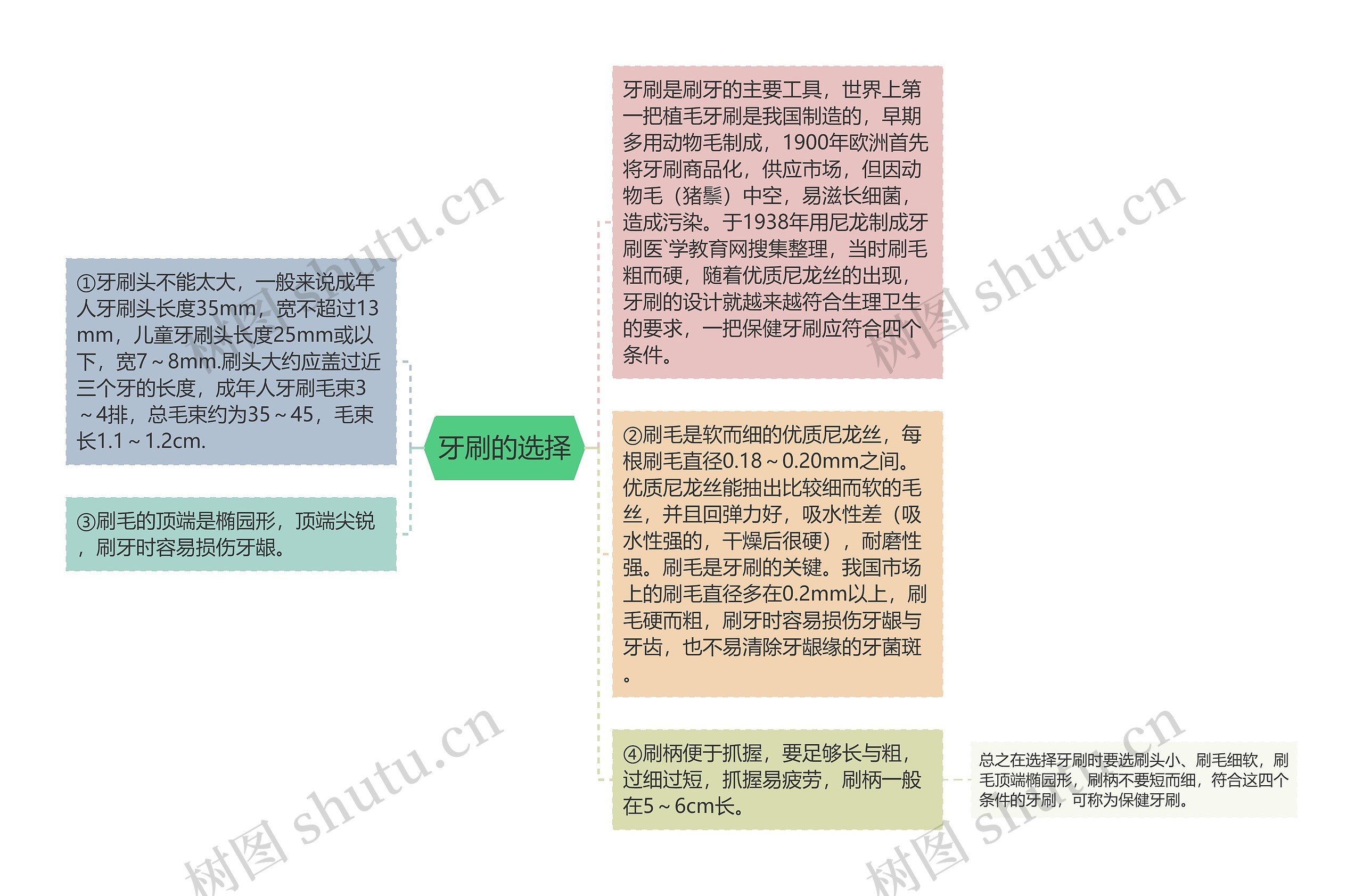 牙刷的选择