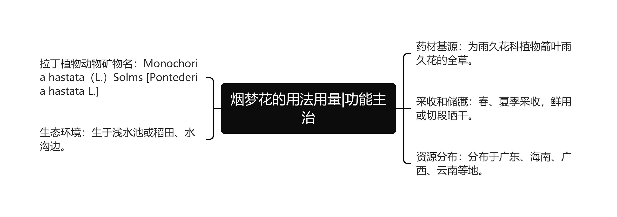 烟梦花的用法用量|功能主治