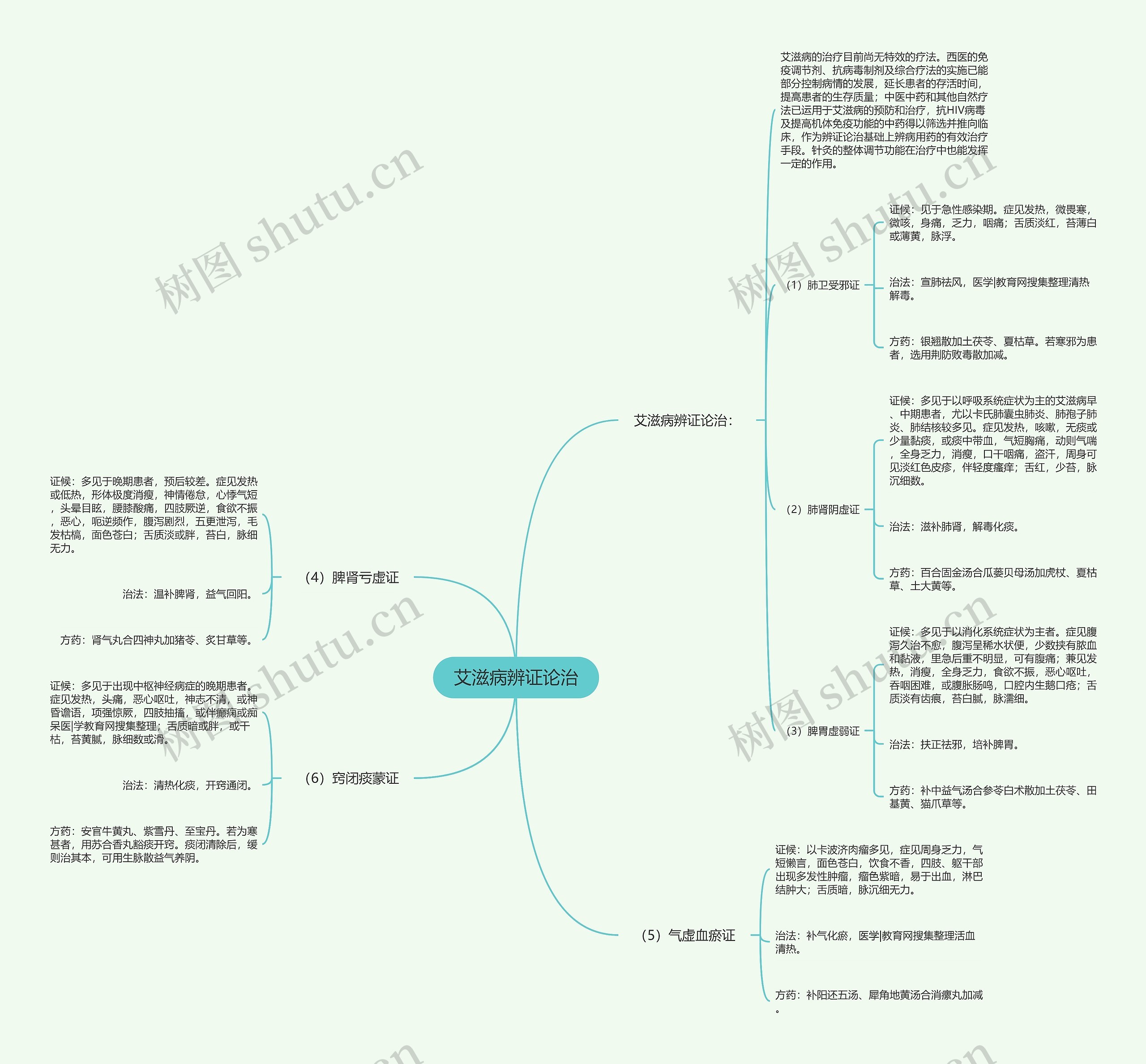 艾滋病辨证论治思维导图