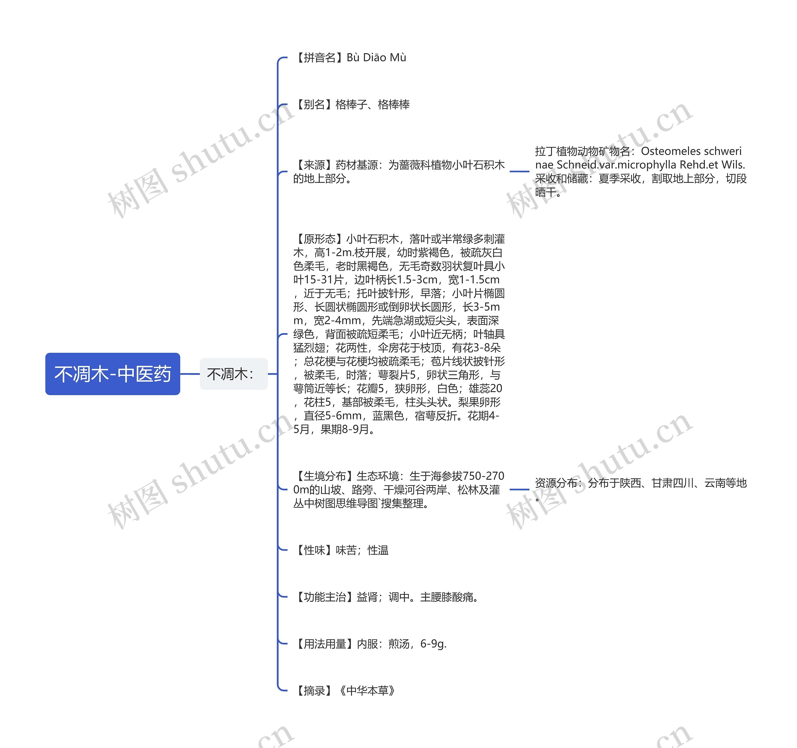 不凋木-中医药思维导图