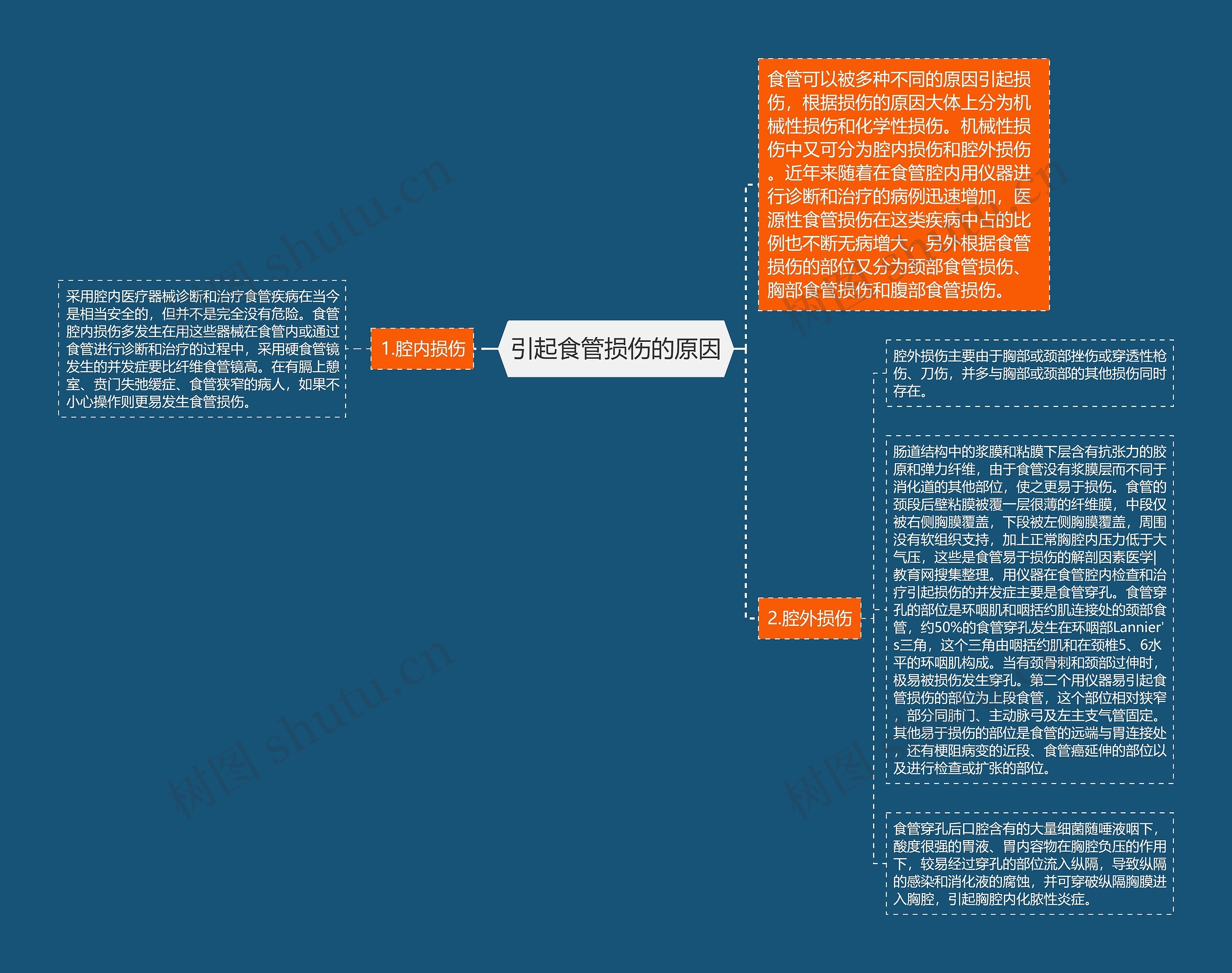 引起食管损伤的原因思维导图