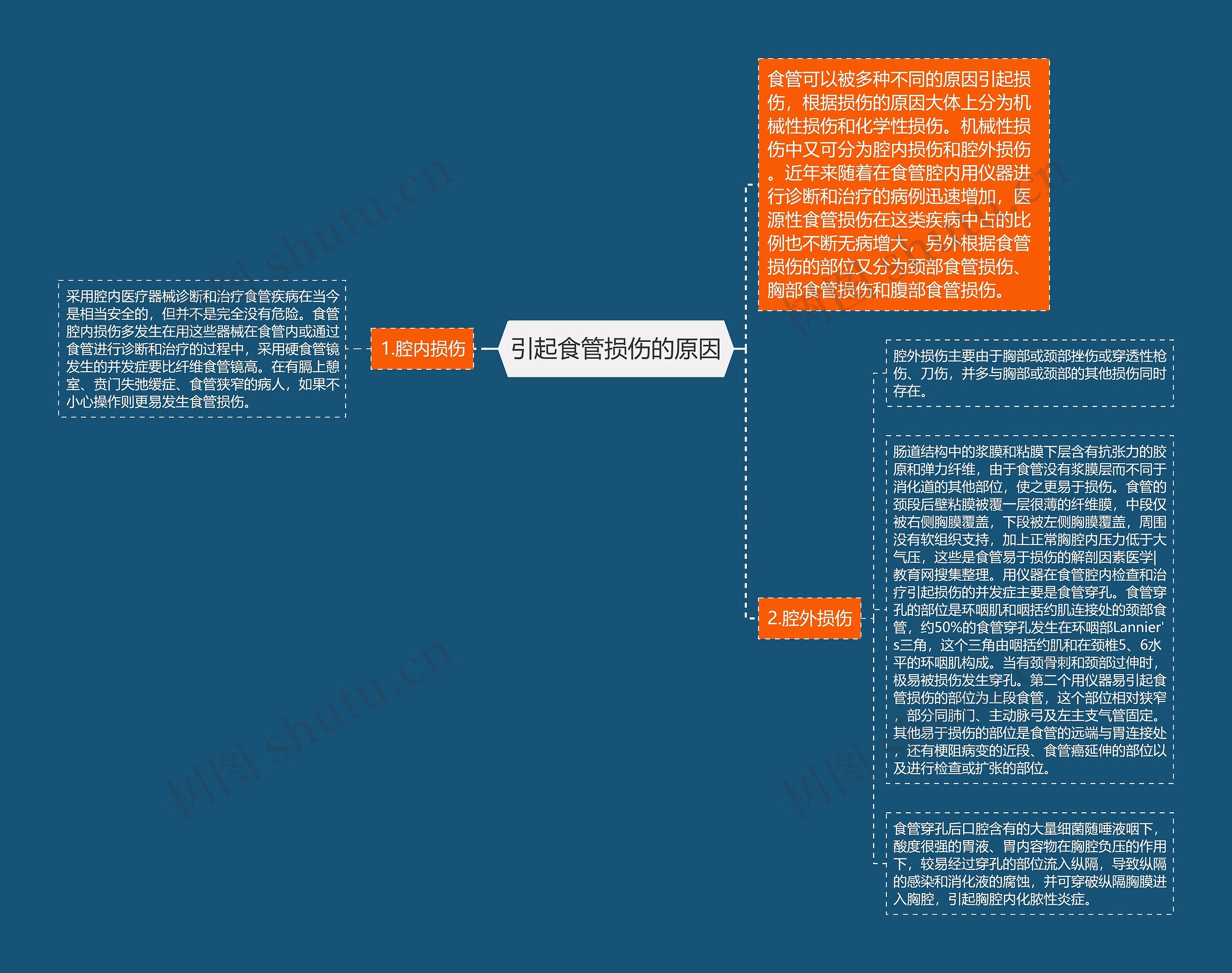 引起食管损伤的原因 引起食管损伤的原因