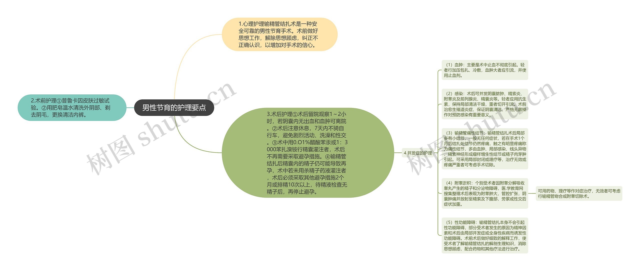 男性节育的护理要点