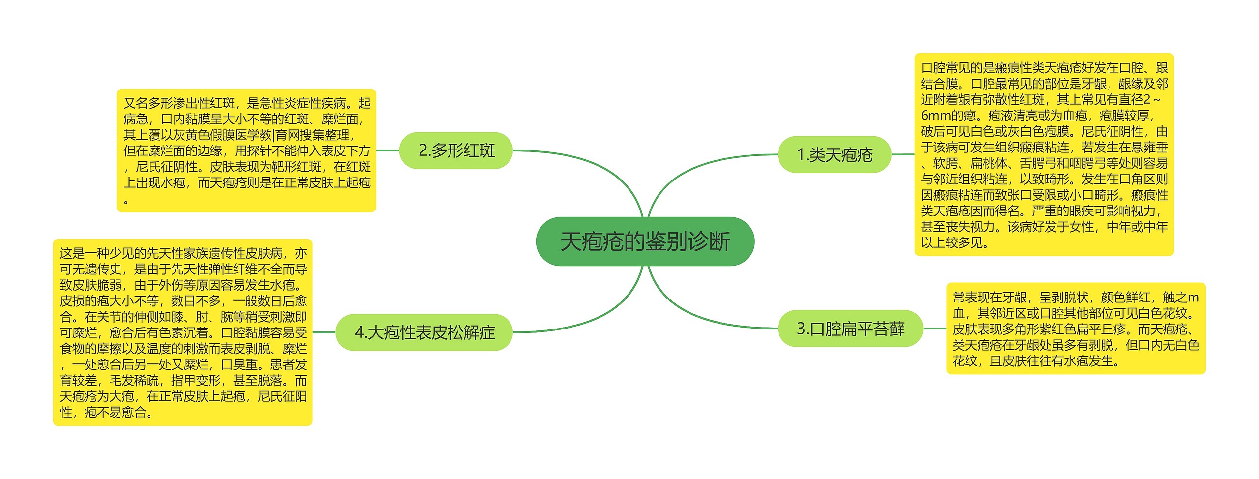 天疱疮的鉴别诊断思维导图