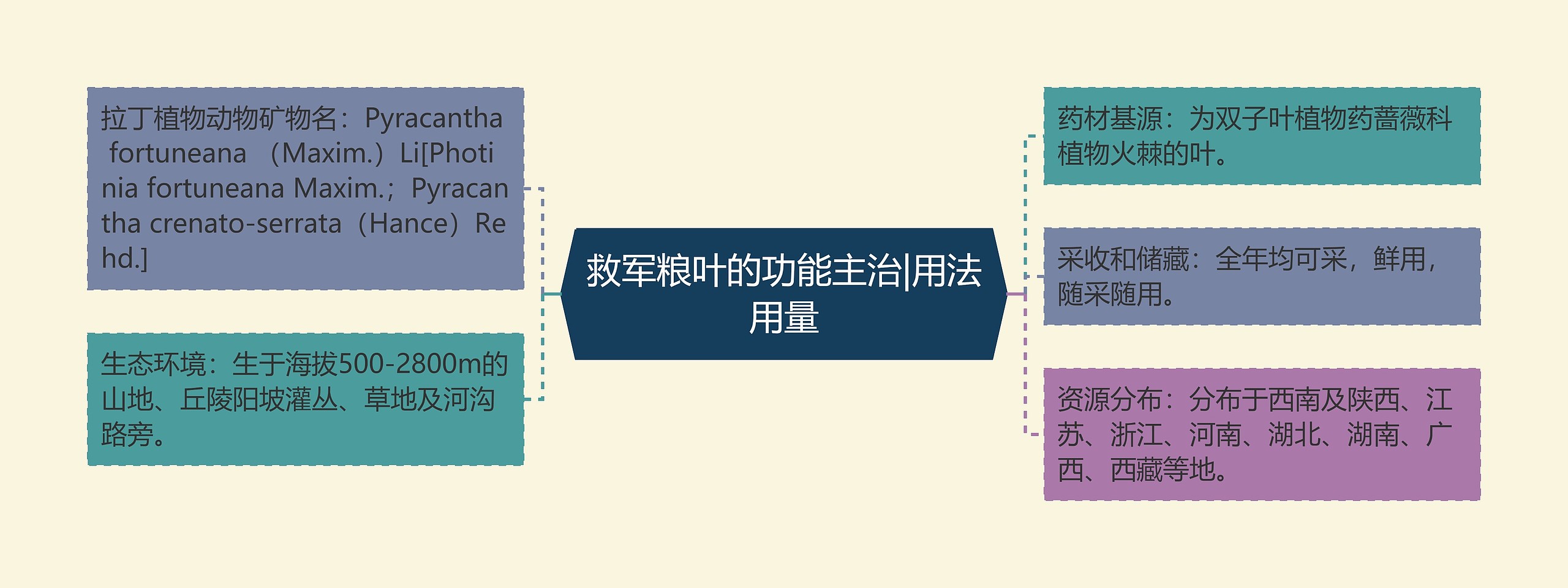 救军粮叶的功能主治|用法用量 救军粮叶的功能主治|用法用量
