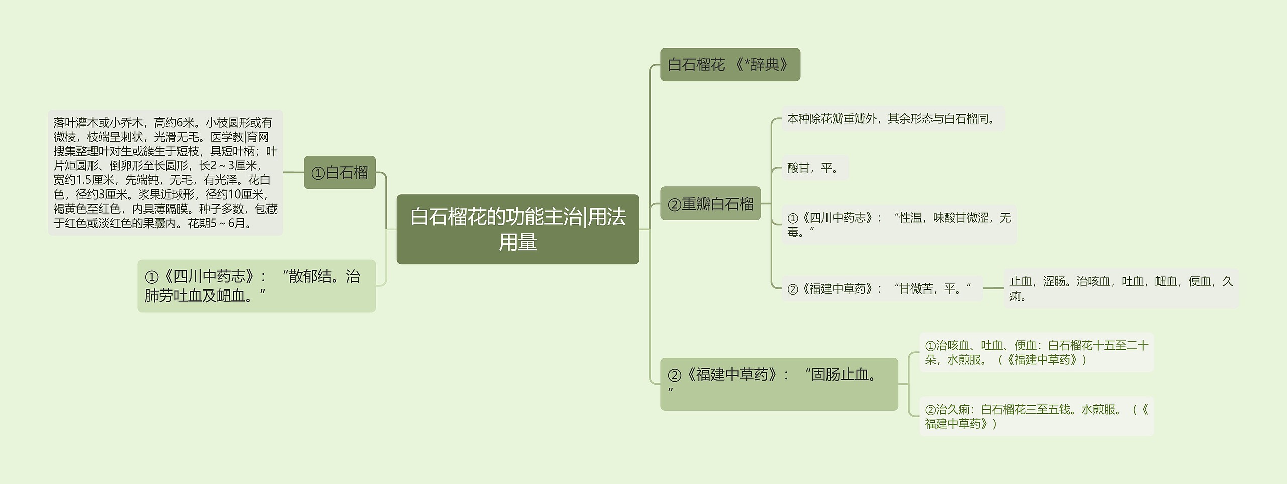 白石榴花的功能主治|用法用量思维导图