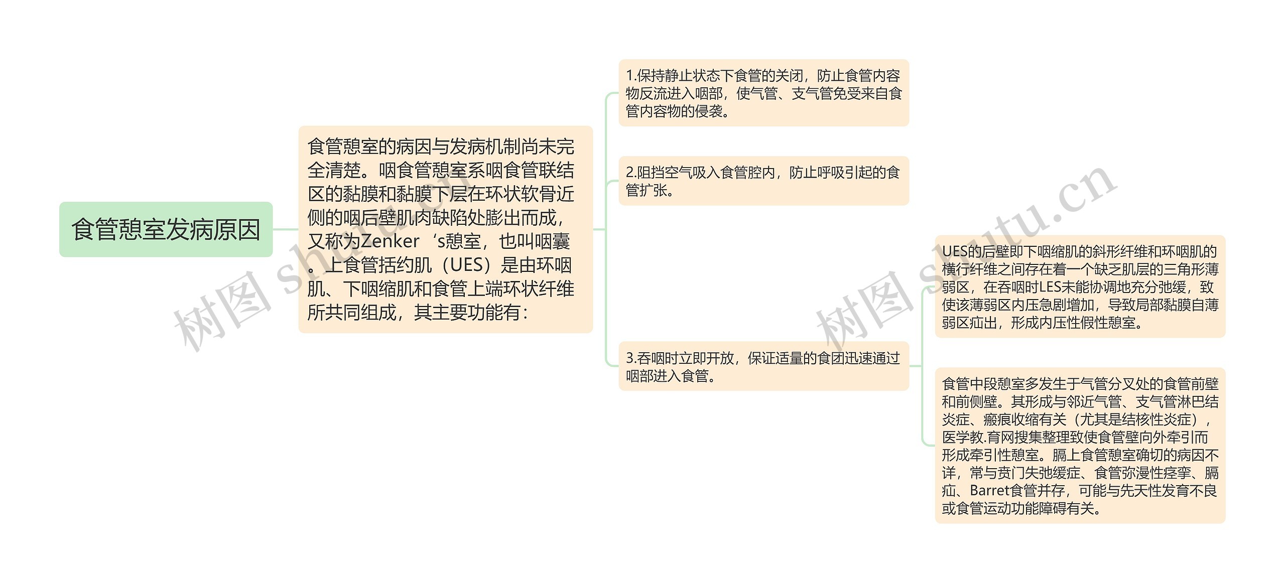 食管憩室发病原因思维导图