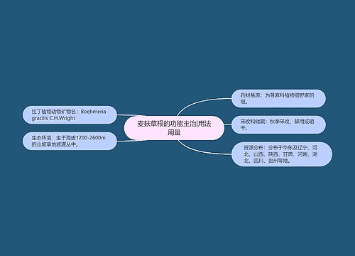 麦麸草根的功能主治|用法用量