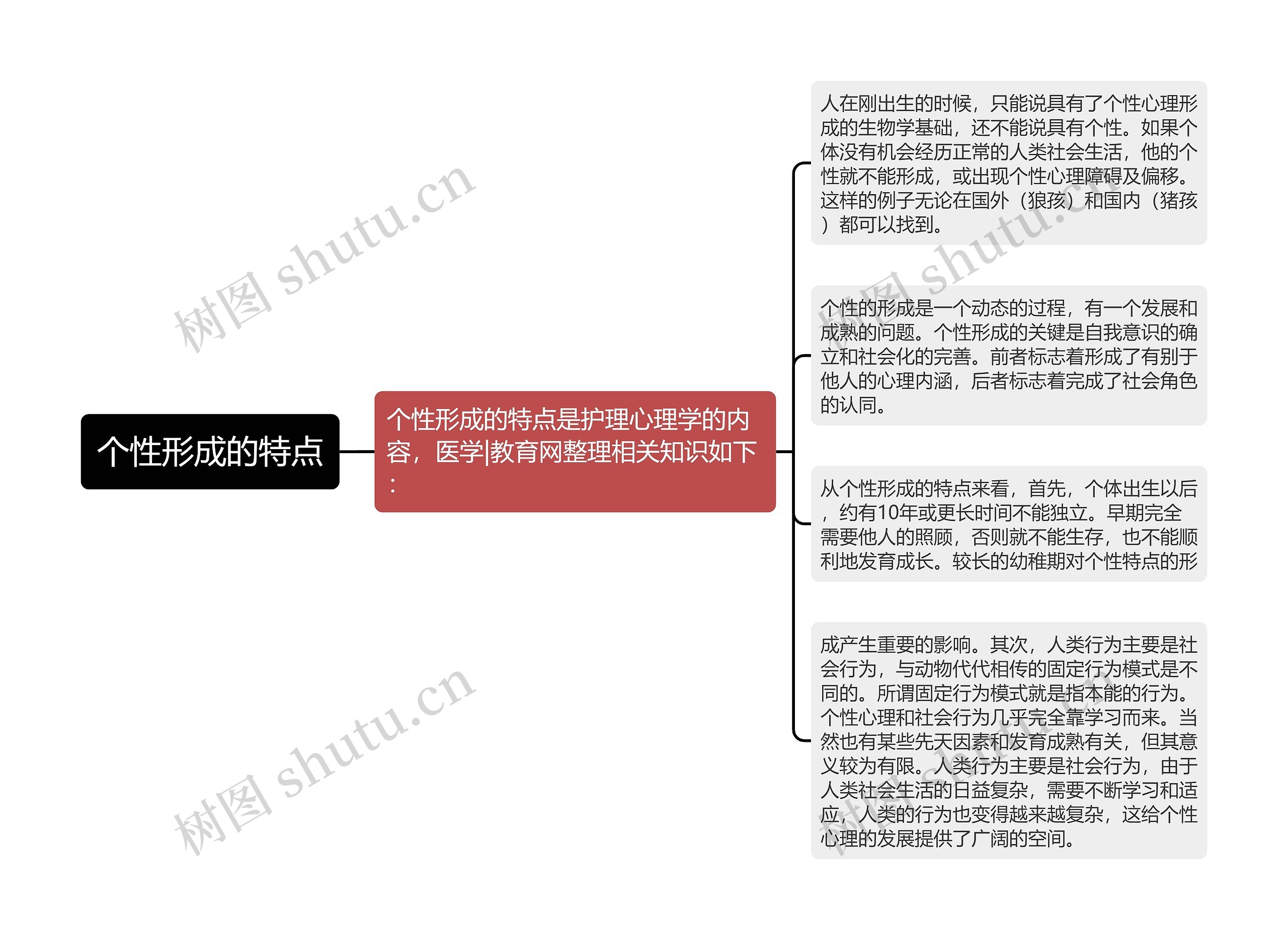 个性形成的特点