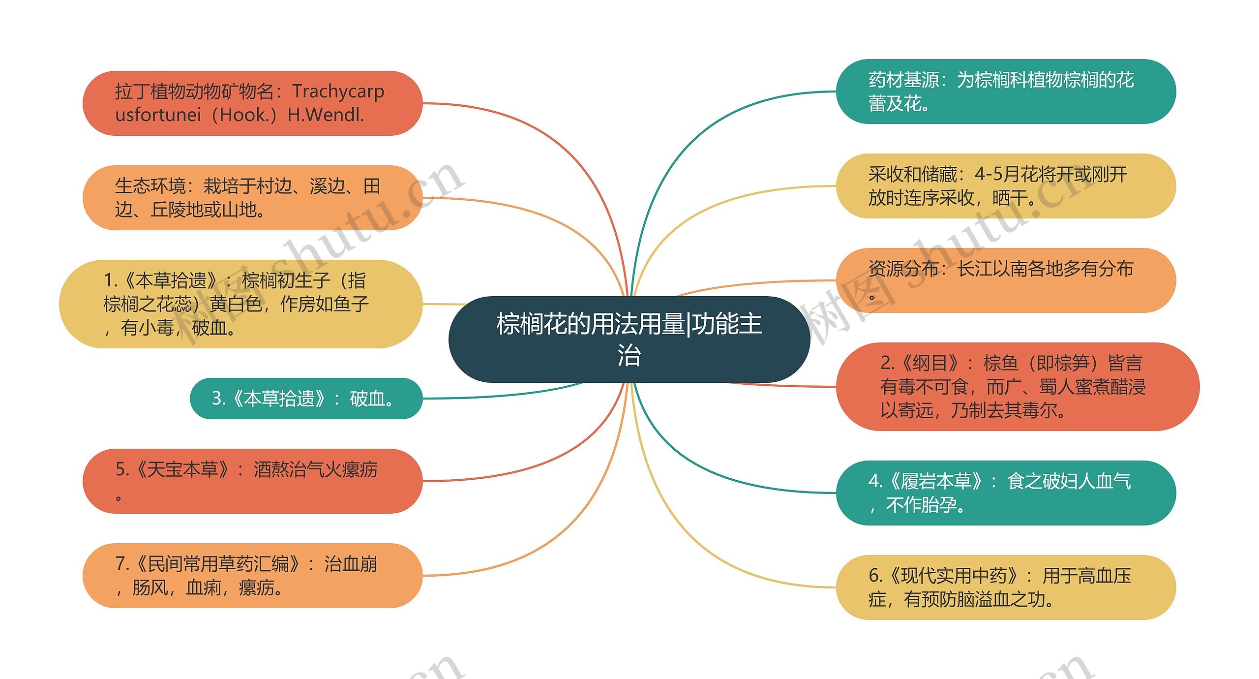 棕榈花的用法用量|功能主治思维导图