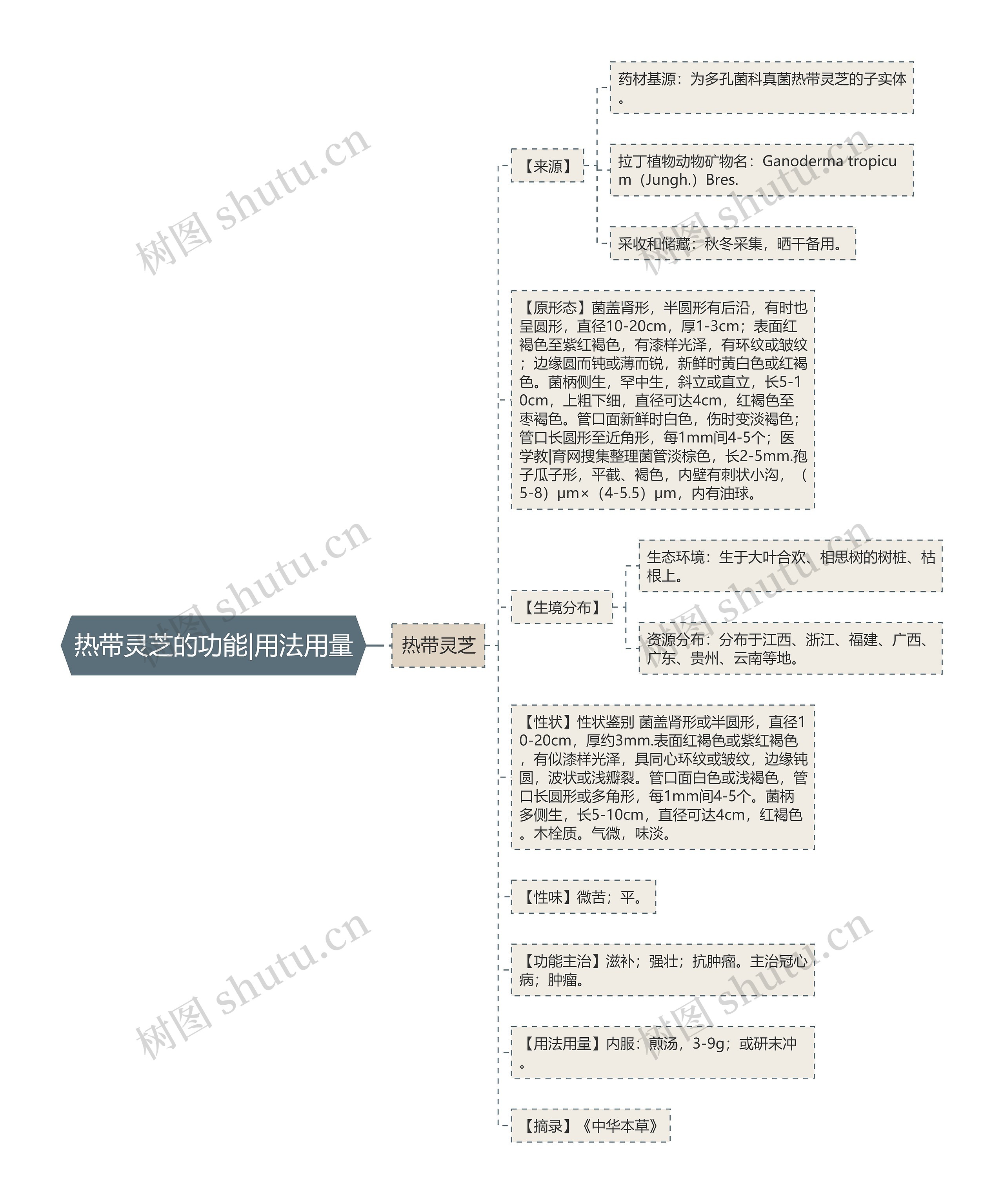 热带灵芝的功能|用法用量思维导图高清图 热带灵芝的功能|用法用量思维导图