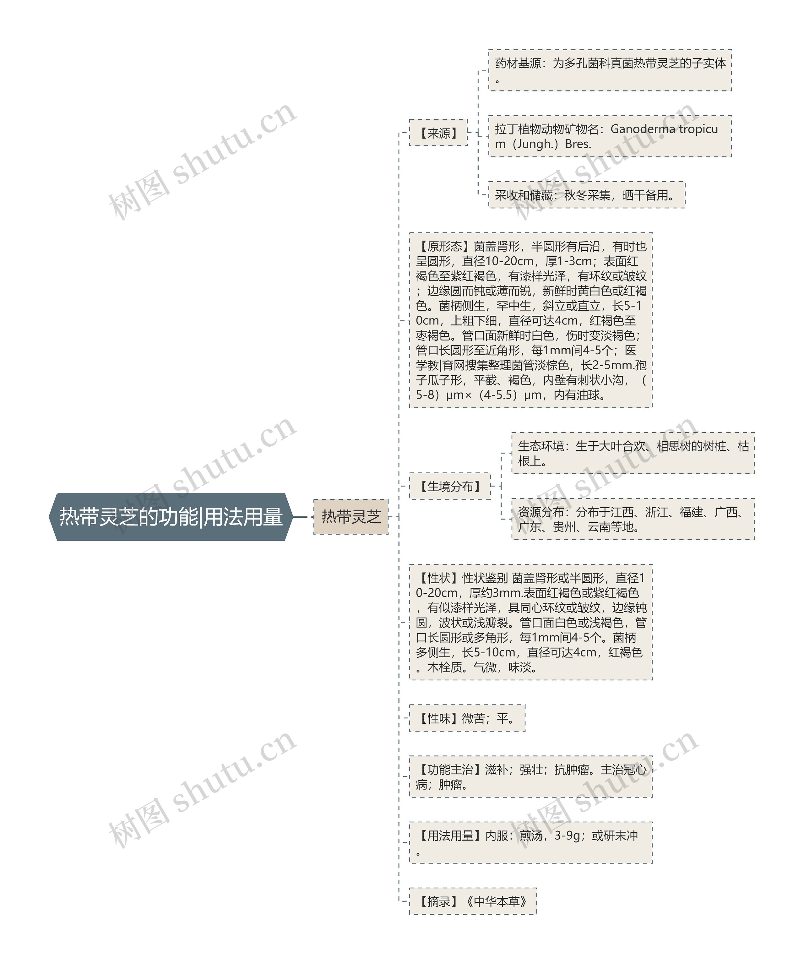 热带灵芝的功能|用法用量思维导图