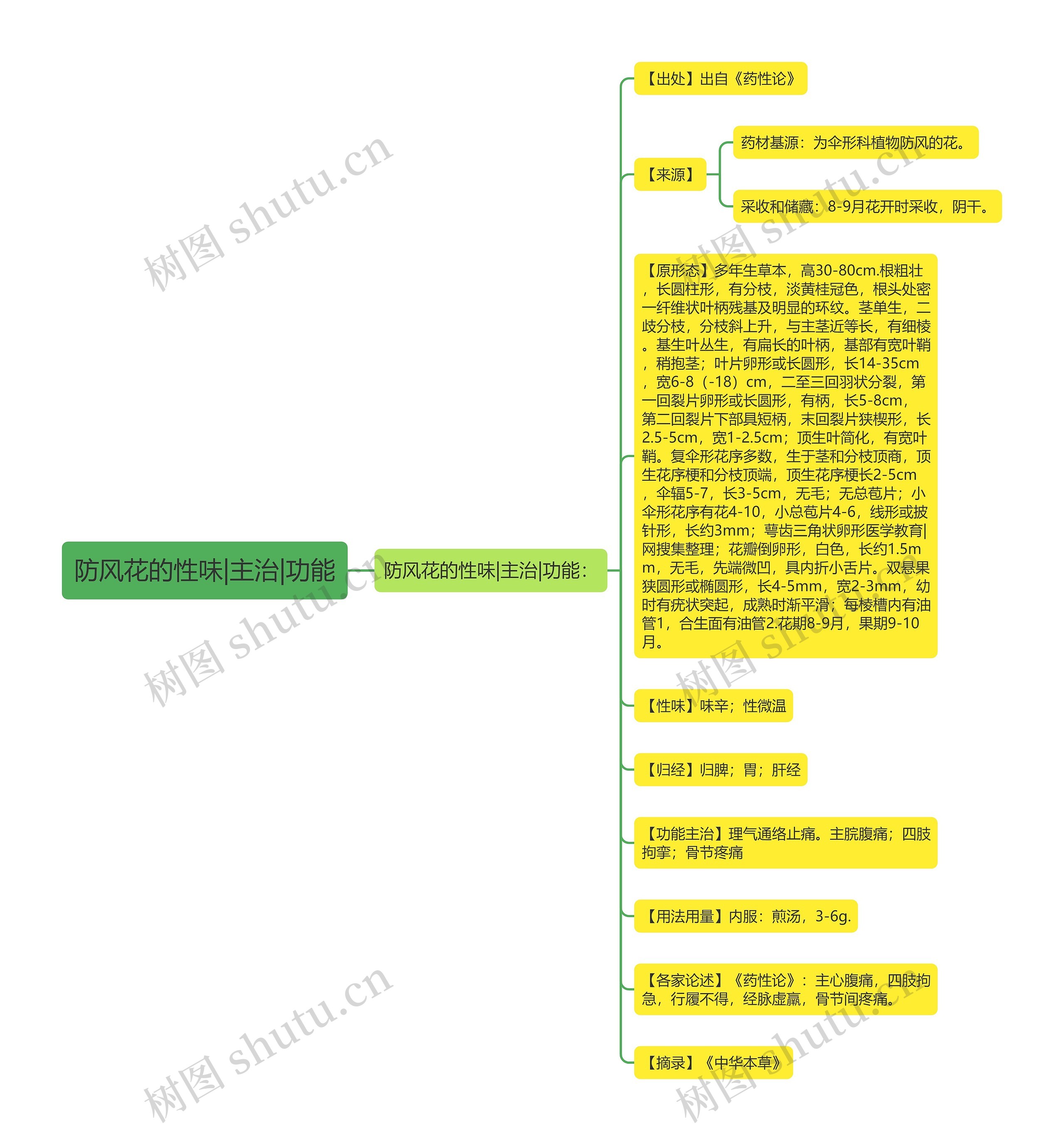 防风花的性味|主治|功能 防风花的性味|主治|功能