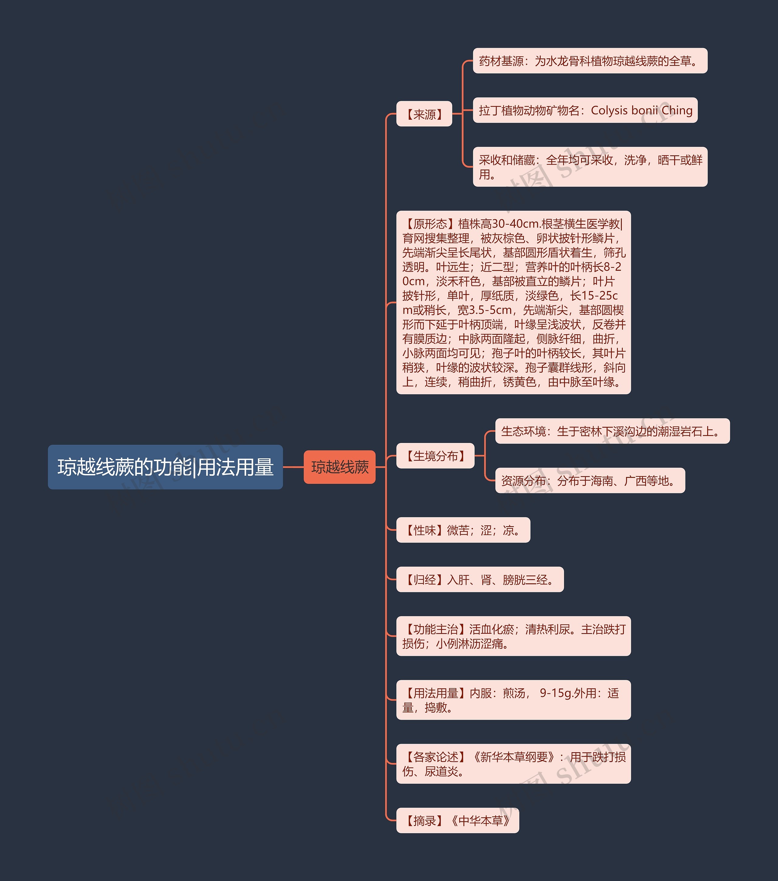 琼越线蕨的功能|用法用量 琼越线蕨的功能|用法用量