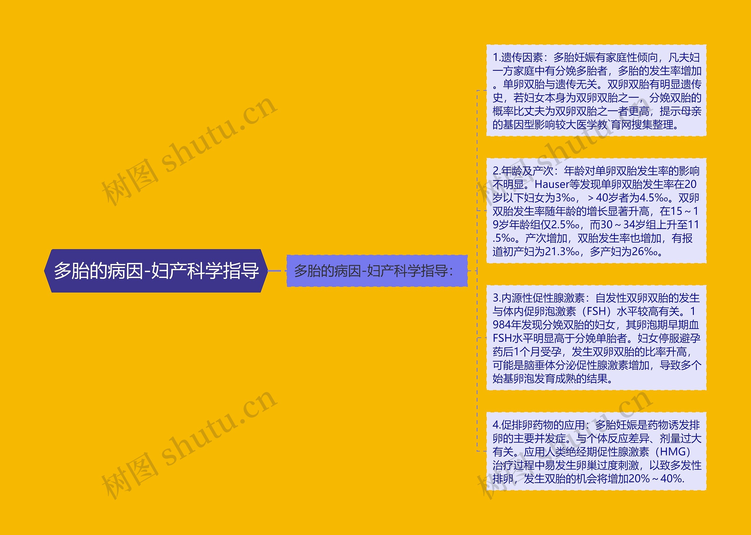 多胎的病因-妇产科学指导 多胎的病因-妇产科学指导
