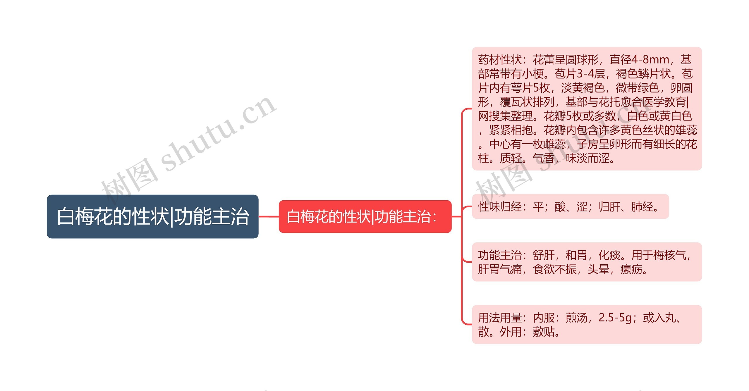 白梅花的性状|功能主治思维导图