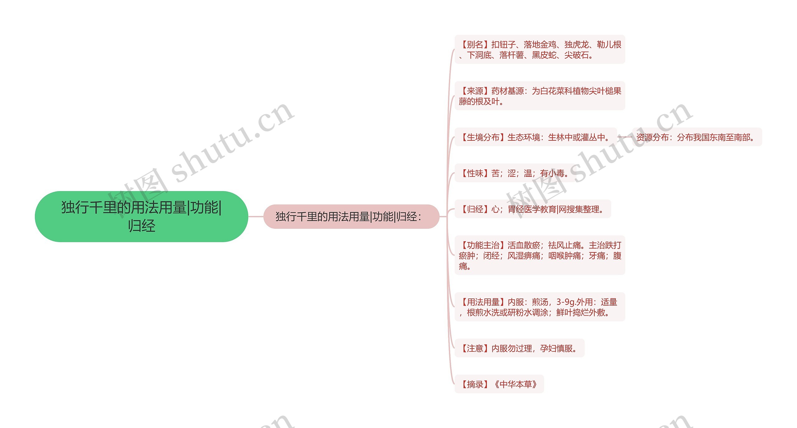 独行千里的用法用量|功能|归经思维导图