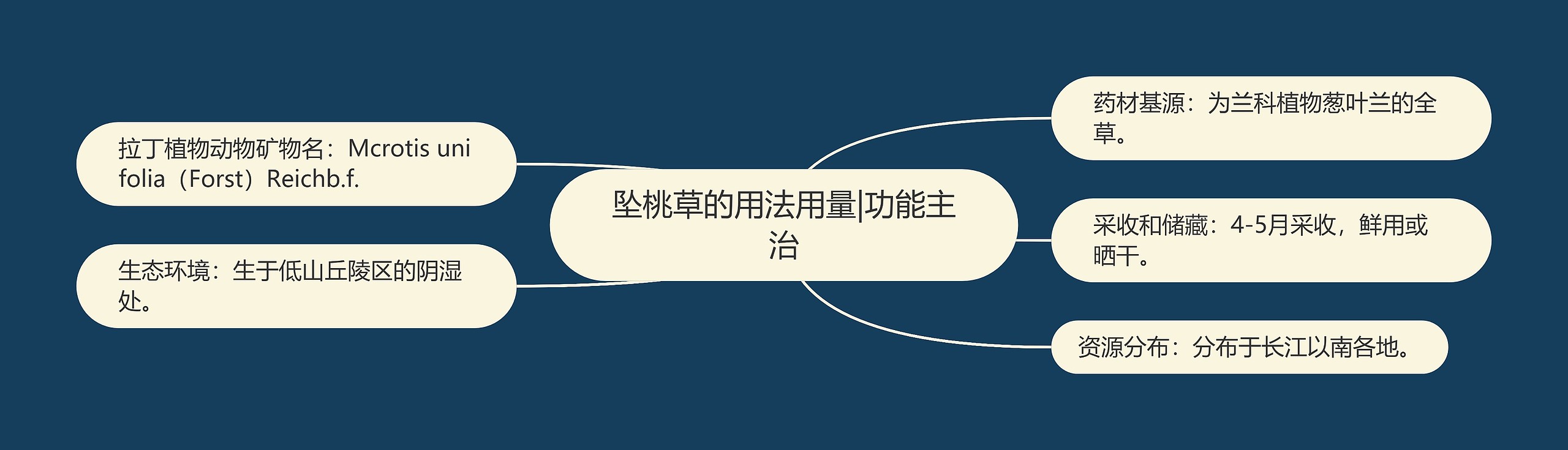 坠桃草的用法用量|功能主治 坠桃草的用法用量|功能主治