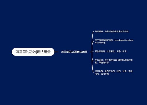 薄雪草的功效|用法用量